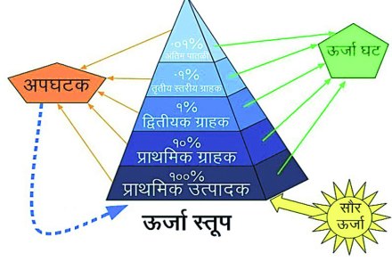 संग्रहित छायाचित्र