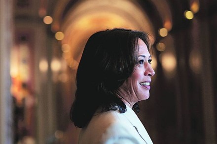 संग्रहित छायाचित्र संग्रहित छायाचित्र