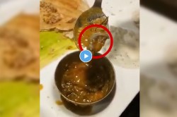 ईईई… सांबारमध्ये मृत पाल, व्हिडीओ झाला व्हायरल; गुन्हा दाखल