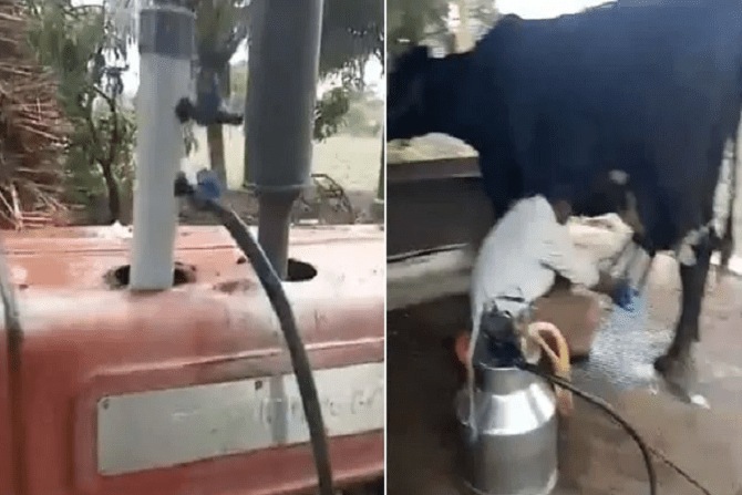 ट्रॅक्टरच्या मदतीनं त्यानं काढलं गाईचं दूध; हटके युक्तीच्या आनंद महिंद्राही पडले प्रेमात