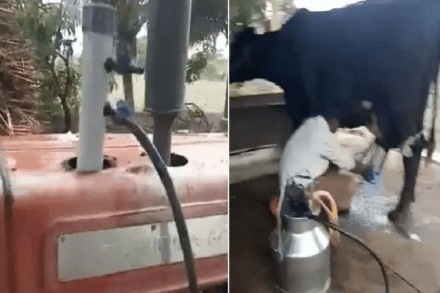 ट्रॅक्टरच्या मदतीनं त्यानं काढलं गाईचं दूध; हटके युक्तीच्या आनंद महिंद्राही पडले प्रेमात