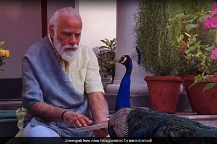 Video: पंतप्रधानांच्या निवासस्थानी आला खास पाहुणा Video: पंतप्रधानांच्या निवासस्थानी आला खास पाहुणा