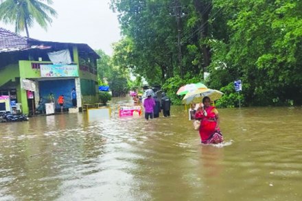 संग्रहित छायाचित्र