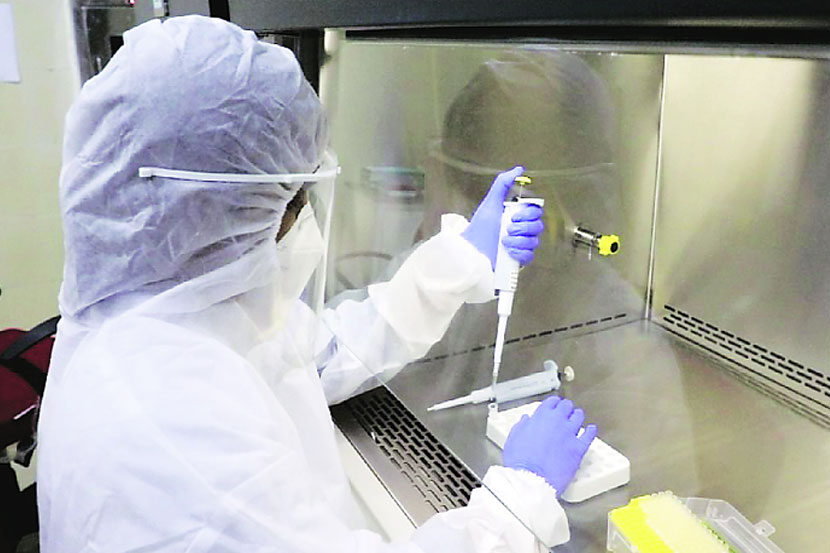 संग्रहित छायाचित्र