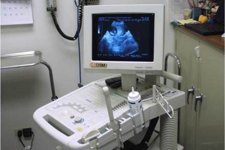 (संग्रहित छायाचित्र)