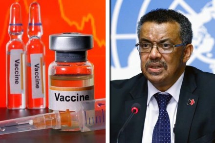 हर्ड इम्युनिटी साध्य करण्यासाठी करोनाला पसरु देणे, हे अनैतिक आहे. त्यामुळे विनाकारण मृत्यू दर वाढेल असे WHO ने म्हटले होते. 