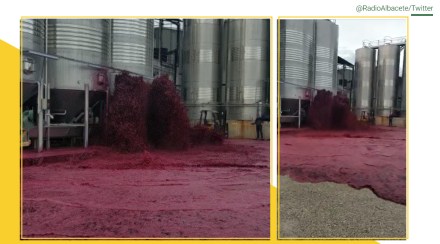 वायनरीत आला वाईनचा महापूर, ५० हजार लिटर वाईन ओसंडून वाहिली