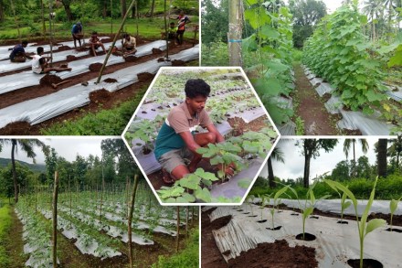 Success Story : लॉकडाउनमध्ये करिअरच्या वाटा ‘अनलॉक’ करणारा युवा शेतकरी