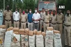 बारामतीत ४६ लाखांचा ३१२ किलो गांजा जप्त