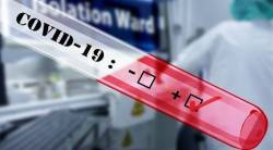 पुणे शहरात नवे ३६६ करोना रुग्ण, पिंपरीत सात जणांचा मृत्यू