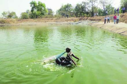 मत्स्यबीज न मिळाल्याने शेतकरी अडचणीत