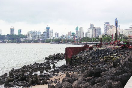 छाया : गणेश शिर्सेकर