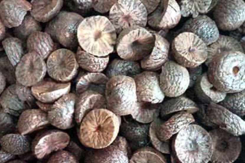 आंतरराष्ट्रीय सीमा बंद असतानाही इंडोनेशियाची सुपारी उपराजधानीत