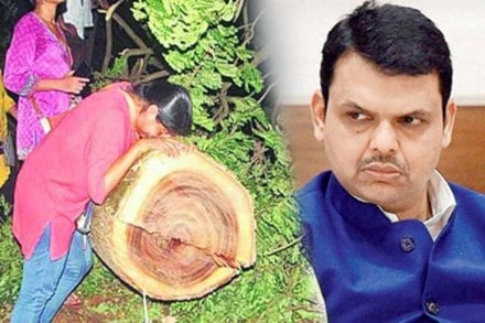 प्रातिनिधिक फोटो