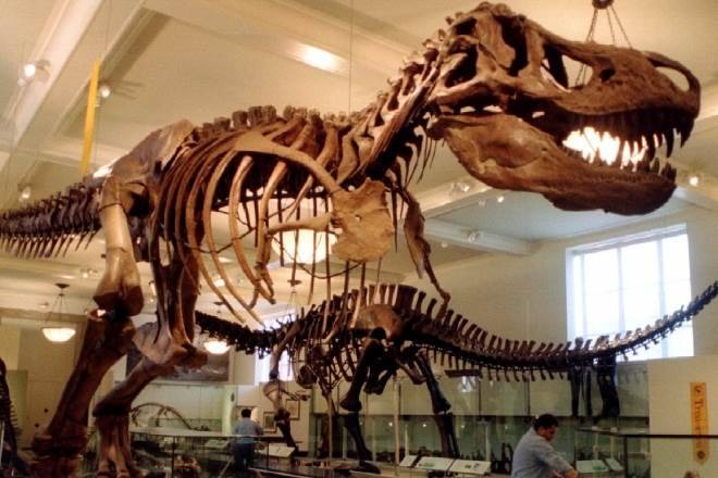 Jurassic World is a concept of science-fiction where a theme park is populated with cloned dinosaurs. (Source- Reuters)