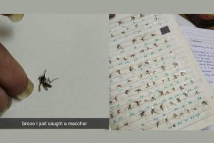 (फोटो सौजन्य : Twitter/zynapsed वरुन साभार)