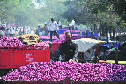 संग्रहित छायाचित्र