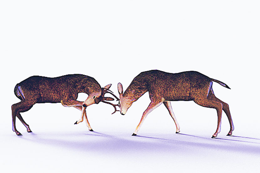 (संग्रहित छायाचित्र) (संग्रहित छायाचित्र)