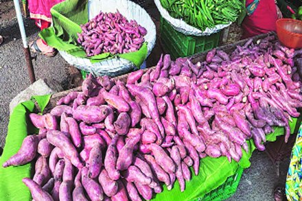 (संग्रहित छायाचित्र) (संग्रहित छायाचित्र)