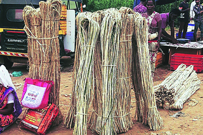 (संग्रहित छायाचित्र)