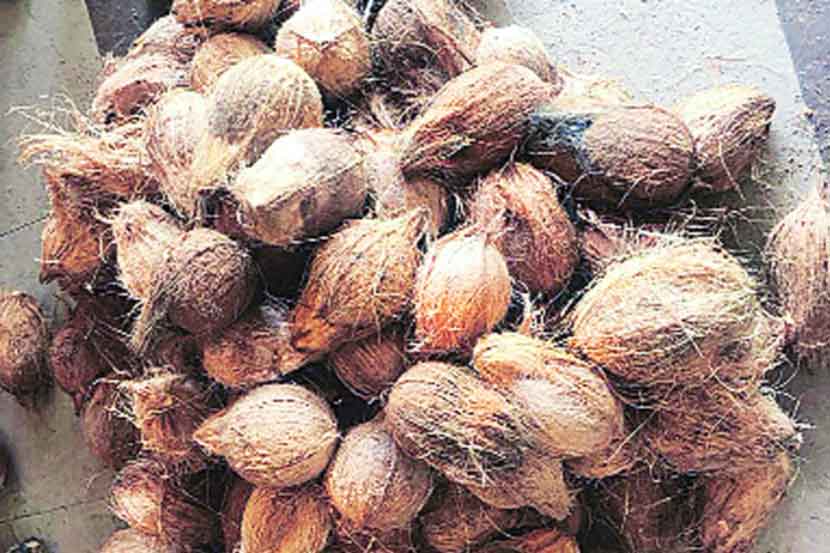 नवरात्रोत्सवात श्रीफळाची उलाढाल निम्म्यावर