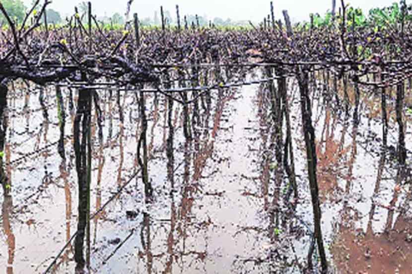 ‘अस्मानी’चे अश्रू..