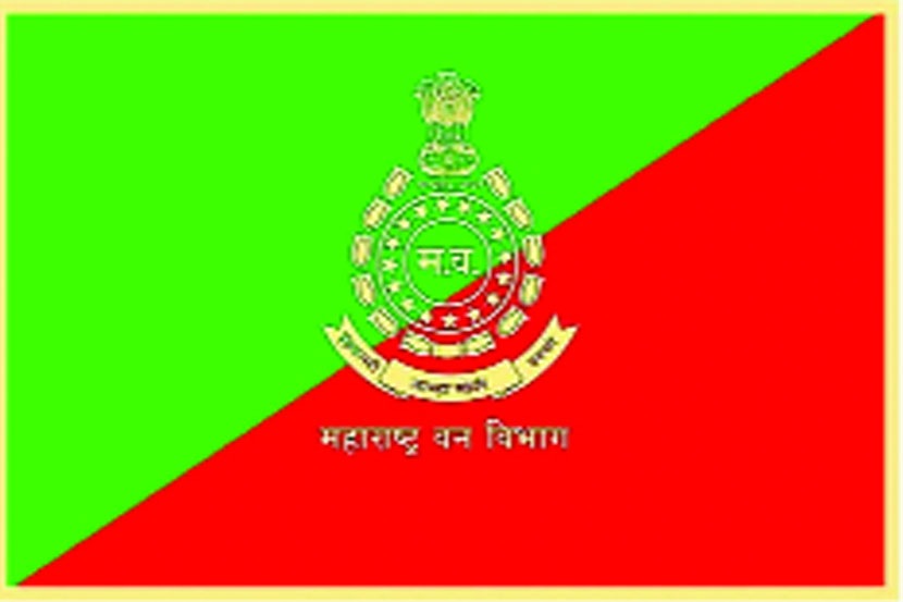 (संग्रहित छायाचित्र)