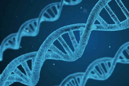 पहिल्यांदाच भारताचा जनुकीय नकाशा पहिल्यांदाच भारताचा जनुकीय नकाशा