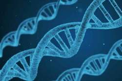 पहिल्यांदाच भारताचा जनुकीय नकाशा