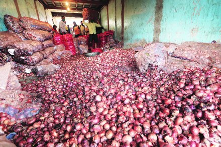 (संग्रहित छायाचित्र) (संग्रहित छायाचित्र)