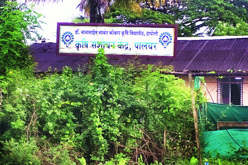 (संग्रहित छायाचित्र)