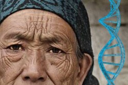 वैज्ञानिकांनी कमाल केली… वय वाढण्याची प्रक्रिया रिव्हर्स करुन दाखवली