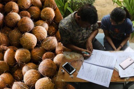 प्रातिनिधिक फोटो