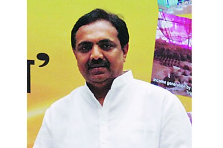 संग्रहीत