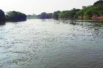 प्रवाहित असलेल्या अग्रणी नदीचे कवठेमहांकाळ तालुक्यातील अग्रण धुळगाव येथील विस्तीर्ण पात्र.