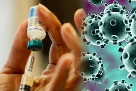 संग्रहीत