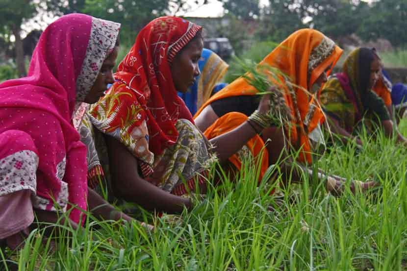 (संग्रहित छायाचित्र) (संग्रहित छायाचित्र)