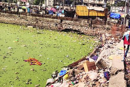 दिवा रेल्वे स्थानक परिसरात असलेल्या तलावाची गेल्या काही वर्षांपासून मोठय़ा प्रमाणात दुरवस्था झाली असून हा तलाव प्रदूषणाच्या विळख्यात सापडला आहे. दिवा रेल्वे स्थानक परिसरात असलेल्या तलावाची गेल्या काही वर्षांपासून मोठय़ा प्रमाणात दुरवस्था झाली असून हा तलाव प्रदूषणाच्या विळख्यात सापडला आहे.
