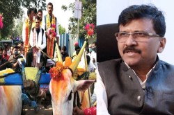 देवेंद्र फडणवीस यांना बैलगाडी लक्षात आहे हे कौतुकास्पद-संजय राऊत