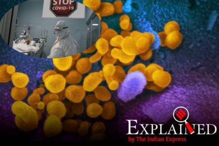 संग्रहित छायाचित्र/एपी संग्रहित छायाचित्र/एपी