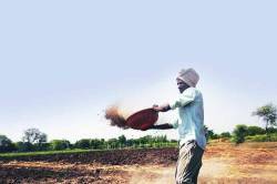 वसईत शेतकऱ्यांवर नवीन संकट