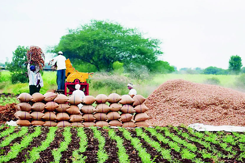 (संग्रहित छायाचित्र)