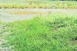 महामार्गाचे भूसंपादन पूर्णत्वाकडे