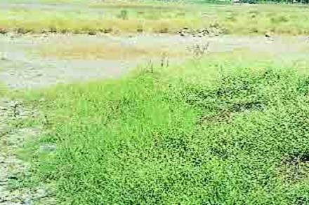 बहुचर्चित मुंबई-बडोदा राष्ट्रीय महामार्ग वसईतील भूसंपदानाची प्रक्रिया पूर्ण होत आली आहे. या प्रकल्पातून वसई-विरारमधील १४ गावांतील बाधित शेतकऱ्यांना ४४७ कोटी रुपयांचे वाटप पूर्ण झाले आहे. बहुचर्चित मुंबई-बडोदा राष्ट्रीय महामार्ग वसईतील भूसंपदानाची प्रक्रिया पूर्ण होत आली आहे. या प्रकल्पातून वसई-विरारमधील १४ गावांतील बाधित शेतकऱ्यांना ४४७ कोटी रुपयांचे वाटप पूर्ण झाले आहे.