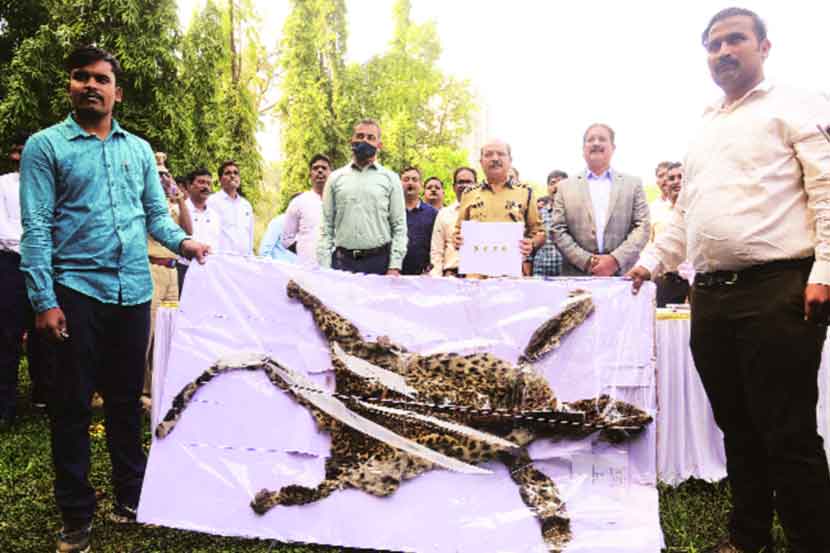 मोरबे परिसरात बिबटय़ाची शिकार