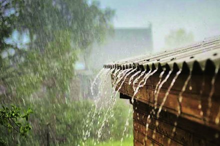 (संग्रहित छायाचित्र) (संग्रहित छायाचित्र)