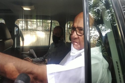 विधान परिषद : मविआला मिळालेल्या यशानंतर शरद पवार यांची पहिली प्रतिक्रिया, म्हणाले…