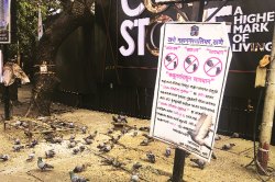 कबुतरखान्यांवरून वाद!