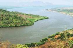 ठाणे खाडी, उल्हास नदीचे पर्यावरण विश्लेषण