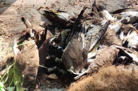 (संग्रहित छायाचित्र)